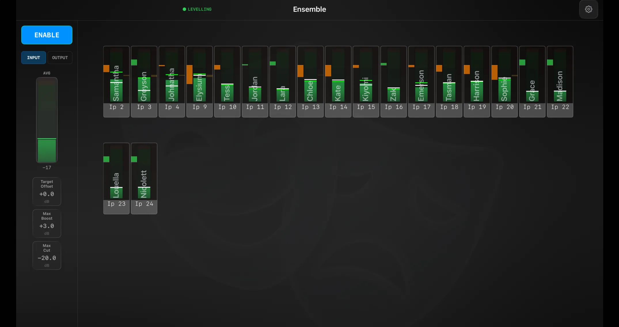 Version T Ensemble running, with LEVELLING lit, the group average meter and quick-adjust controls at the left, and a meter strip per mic in the ensemble